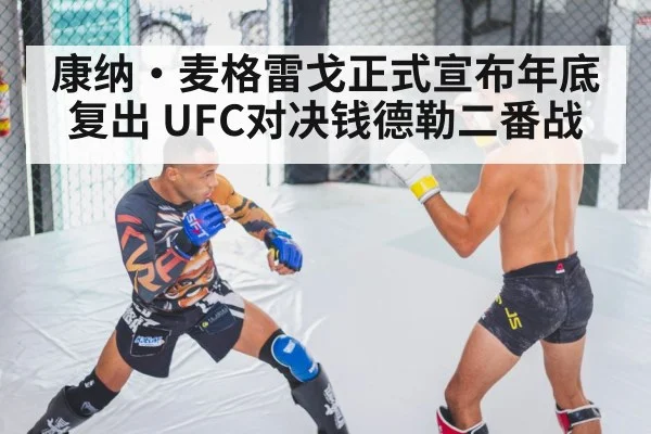 康纳·麦格雷戈正式宣布年底复出 UFC对决钱德勒二番战