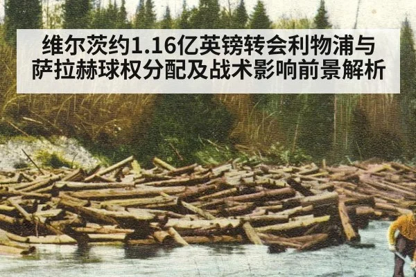 维尔茨约1.16亿英镑转会利物浦与萨拉赫球权分配及战术影响前景解析